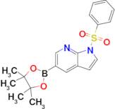 1-(Phenylsulfonyl)-5-(4,4,5,5-tetramethyl-1,3,2-dioxaborolan-2-yl)-1H-pyrrolo[2,3-b]pyridine