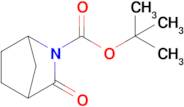 3-Oxo-2-azabicyclo[2.2.1]heptan-2-carboxylic acid tert-butyl ester