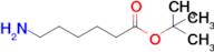 tert-Butyl 6-aminocaproate