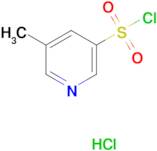 5-Methylpyridine-3-sulfonyl chloride hydrochloride