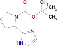 tert-Butyl 2-(1H-imidazol-2-yl)pyrrolidine-1-carboxylate