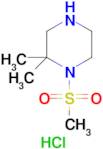 1-Methylsulfonyl-2,2-dimethylpiperazine hydrochloride