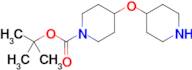 4-[(Piperidin-4-yl)oxy]piperidine-1-carboxylic acid tert-butyl ester