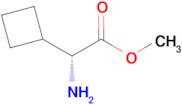 (R)-Methyl 2-amino-2-cyclobutylacetate