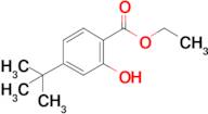 Ethyl 4-tert-butyl-2-hydroxybenzoate