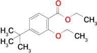 Ethyl 4-tert-butyl-2-ethoxybenzoate