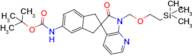 Tert-Butyl 2'-oxo-1'-((2-(trimethylsilyl)ethoxy)methyl)-1,1',2',3-tetrahydrospiro[indene-2,3'-py...