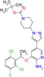 (R)-tert-butyl 4-(4-(6-amino-5-(1-(2,6-dichloro-3-fluorophenyl)ethoxy)pyridin-3-yl)-1H-pyrazol-1-yl)piperidine-1-carboxylate