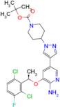 (R)-tert-butyl 4-(4-(6-amino-5-(1-(2,6-dichloro-3-fluorophenyl)ethoxy)pyridin-3-yl)-1H-pyrazol-1...