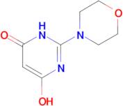 6-hydroxy-2-(morpholin-4-yl)-3,4-dihydropyrimidin-4-one