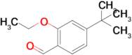 4-(1,1-Dimethylethyl)-2-ethoxybenzaldehyde