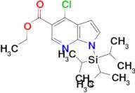 Ethyl 4-chloro-1-(triisopropylsilyl)-1H-pyrrolo[2,3-b]pyridine-5-carboxylate