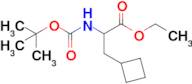 Ethyl 2-((tert-butoxycarbonyl)amino)-3-cyclobutylpropanoate