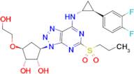 (1S,2S,3R,5S)-3-(7-(((1R,2S)-2-(3,4-difluorophenyl)cyclopropyl)amino)-5-(propylsulfonyl)-3H-[1,2,3]triazolo[4,5-d]pyrimidin-3-yl)-5-(2-hydroxyethoxy)cyclopentane-1,2-diol
