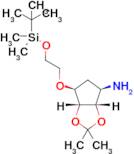 (3aS,4R,6S,6aR)-6-(2-((tert-butyldimethylsilyl)oxy)ethoxy)-2,2-dimethyltetrahydro-3aH-cyclopenta[d…