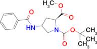 1-(tert-Butyl) 2-methyl (2S,4R)-4-benzamidopyrrolidine-1,2-dicarboxylate