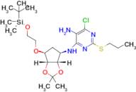N4-((3aS,4R,6S,6aR)-6-(2-((tert-butyldimethylsilyl)oxy)ethoxy)-2,2-dimethyltetrahydro-3aH-cyclopenta[d][1,3]dioxol-4-yl)-6-chloro-2-(propylthio)pyrimidine-4,5-diamine
