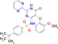 4-tert-butyl-N-[5-(2-methoxyphenoxy)-6-oxo-1,6-dihydro-[2,2'-bipyrimidin]-4-yl]benzene-1-sulfonamide