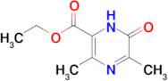ethyl 3,5-dimethyl-6-oxo-1,6-dihydropyrazine-2-carboxylate