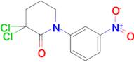 3,3-dichloro-1-(3-nitrophenyl)piperidin-2-one