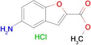Methyl 5-amino-1-benzofuran-2-carboxylate hydrochloride