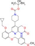 Tert-butyl 4-(7-(2-(cyclopropylmethoxy)-6-((4-methoxybenzyl)oxy)phenyl)-2-oxo-2,4-dihydro-1H-pyrid…