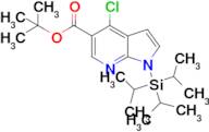 tert-Butyl 4-chloro-1-(triisopropylsilyl)-1H-pyrrolo[2,3-b]pyridine-5-carboxylate