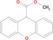 Methyl xanthanoate