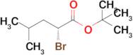 tert-Butyl (R)-2-bromo-4-methylpentanoate