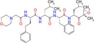 (R)-4-methyl-N-((S)-1-(((S)-4-methyl-1-((S)-2-methyloxiran-2-yl)-1-oxopentan-2-yl)amino)-1-oxo-3...