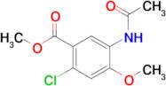 Methyl 5-acetamido-2-chloro-4-methoxybenzoate