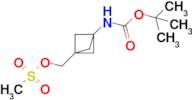 (3-((tert-Butoxycarbonyl)amino)bicyclo[1.1.1]pentan-1-yl)methyl methanesulfonate