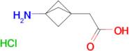 2-(3-Aminobicyclo[1.1.1]pentan-1-yl)acetic acid hydrochloride