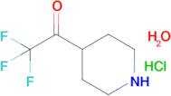 2,2,2-Trifluoro-1-piperidin-4-yl-ethanone hydrochloride monohydrate
