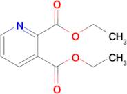 Diethyl pyridine-2,3-dicarboxylate