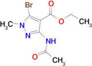 Ethyl 3-acetamido-5-bromo-1-methyl-1H-pyrazole-4-carboxylate