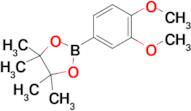 2-(3,4-Dimethoxyphenyl)-4,4,5,5-tetramethyl-1,3,2-dioxaborolane