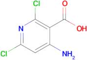 4-Amino-2,6-dichloronicotinic acid