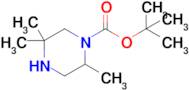 tert-Butyl 2,5,5-trimethylpiperazine-1-carboxylate