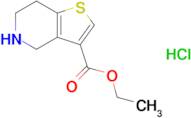 Ethyl 4,5,6,7-tetrahydrothieno[3,2-c]pyridine-3-carboxylate hydrochloride