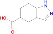 4,5,6,7-Tetrahydro-1H-indazole-5-carboxylic acid