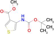 METHYL 4-BOC-AMINOTHIOPHENE-3-CARBOXYLATE