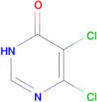 5,6-dichloro-3,4-dihydropyrimidin-4-one