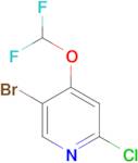 5-BROMO-2-CHLORO-4-(DIFLUOROMETHOXY)PYRIDINE