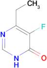 6-ethyl-5-fluoro-3,4-dihydropyrimidin-4-one