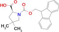 1-FMOC-4,4-DIMETHYL-L-PROLINE