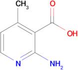 2-AMINO-4-METHYLPYRIDINE-3-CARBOXYLIC ACID