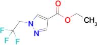 ETHYL 1-(2,2,2-TRIFLUOROETHYL)-1H-PYRAZOLE-4-CARBOXYLATE