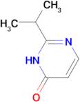 2-(propan-2-yl)-3,4-dihydropyrimidin-4-one