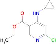 ETHYL 6-CHLORO-4-(CYCLOPROPYLAMINO)NICOTINATE